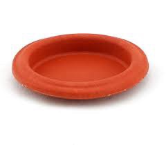 IWG75 TP Diaphragm Assembly Replacement